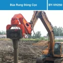 bua rung cu by vh250 (1)