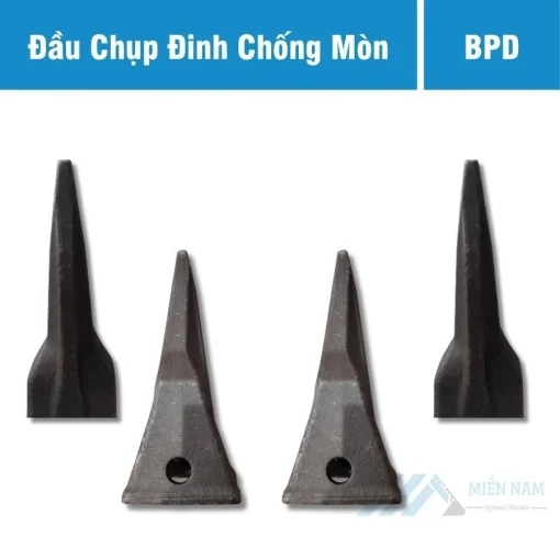 dau chup dinh chong mon (1)
