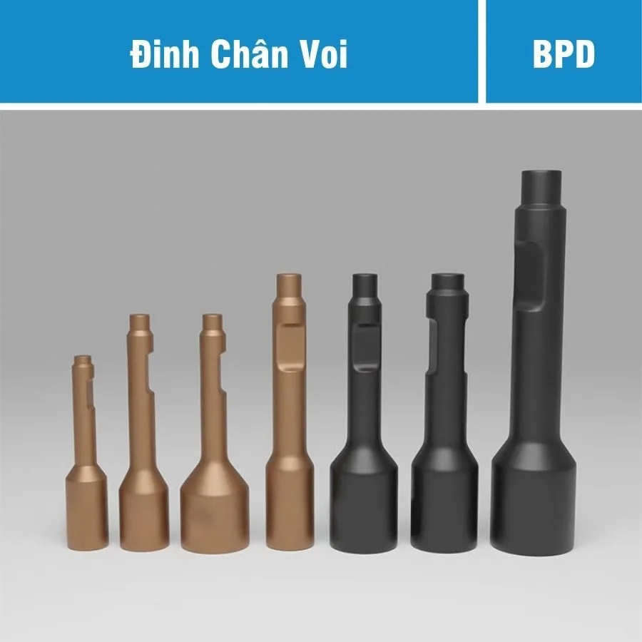 dinh chan voi bua thuy luc (1) dinh chan voi bua thuy luc (1)