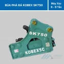 bua pha da sk750 (2)