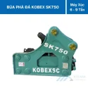 bua pha da sk750 (3)