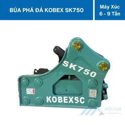 bua pha da sk750 (3)