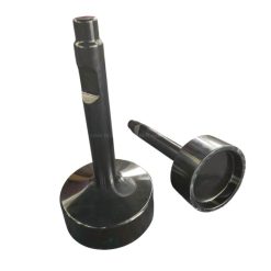 dinh bua dong coc (4)