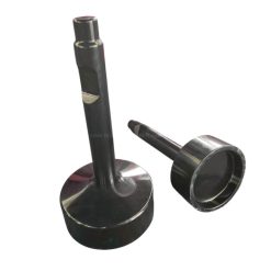 dinh bua dong coc (5)